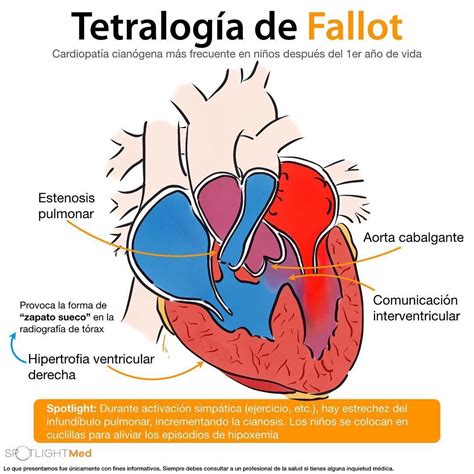 TETTOLOGIA